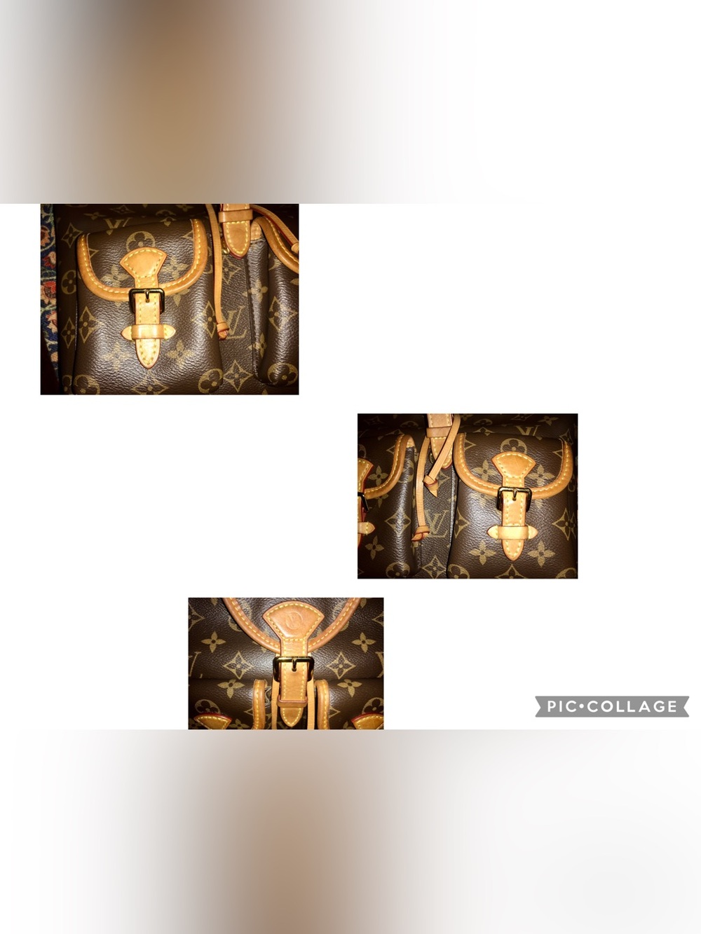 Louis Vuitton Monogram Excursion Crossbody Backpack - Picture 3 of 16